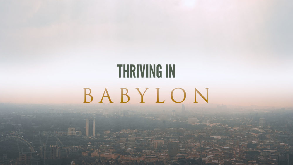 Thriving In Babylon