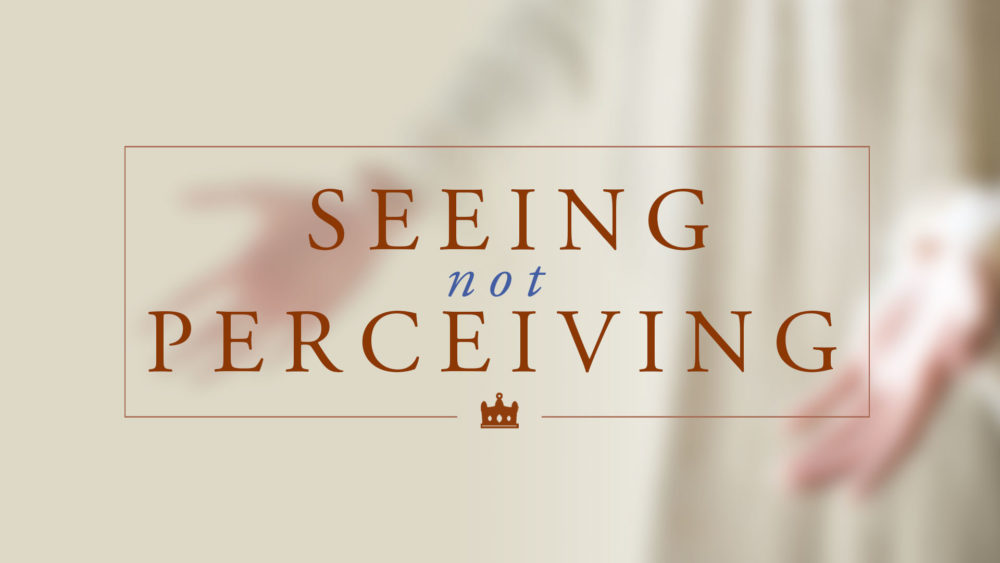 Seeing, Not Perceiving