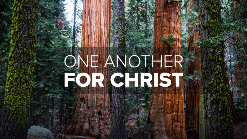 One Another for Christ